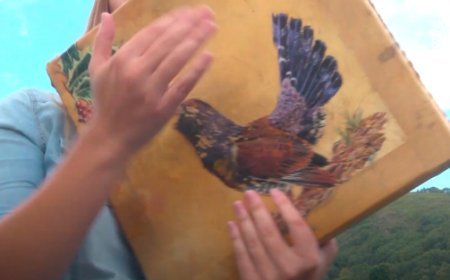 Análisis del pandeiru cuadrao