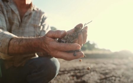 ¿Hacia dónde va el futuro de León?