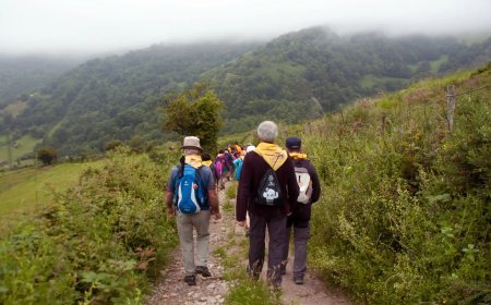 Descubre el Camino de Santiago en 2025 con la Asociación Pulchra Leonina