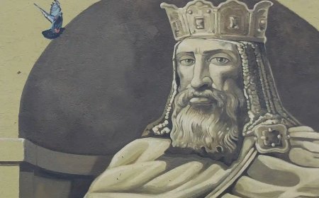 Alfonso IX ya luce en Zamora