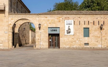 Museo Baltasar Lobo