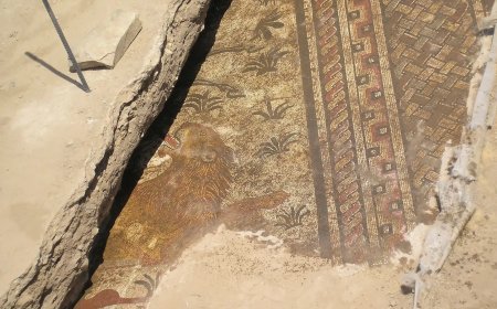 Saelices el Chico impulsa su legado romano con un parque arqueológico