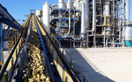 Habrá protestas contra el cierre de la azucarera en La Bañeza