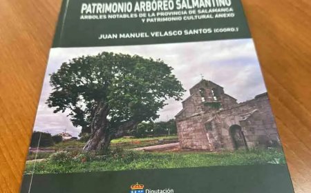 Patrimonio arbóreo salmantino