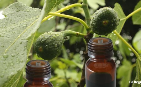 Aceite de hojas de higuera: El tesoro verde de nuestras abuelas