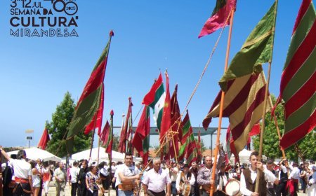 Concentración transfronteriza de pendones leoneses en Miranda