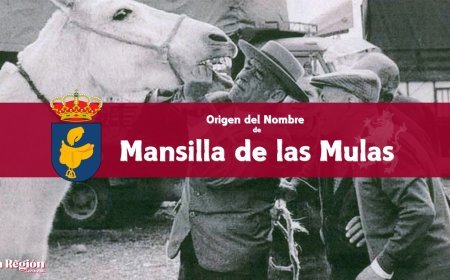 Origen del nombre de Mansilla de las Mulas