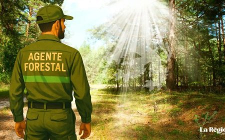 Guardianes del monte: el oficio forestal en tierras leonesas