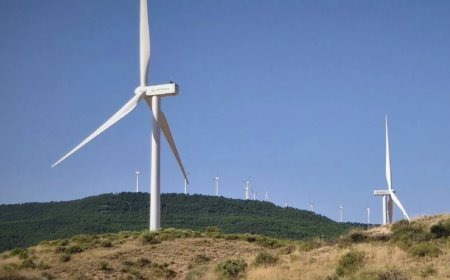 El Gobierno desestima el proyecto eólico Alto Bierzo-Sil por su impacto ambiental y la caducidad de permisos