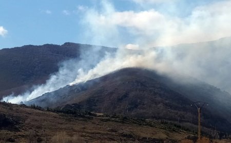 Incendios en la Región Leonesa – Verano 2025: Más graves, menos vigilancia