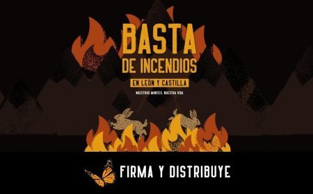 La petición amplía las exigencias contra incendios en la comunidad