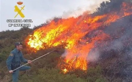 Tres detenidos y un investigado por los incendios que asolan la región leonesa y Castilla
