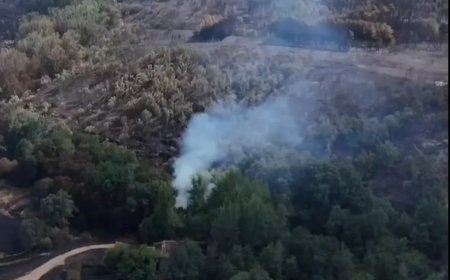 Así ha quedado Riofrío de Aliste tras el incendio