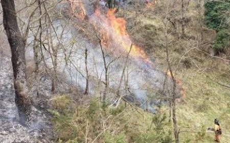 Nuevos incendios en Picos de Europa amenazan la frontera norte