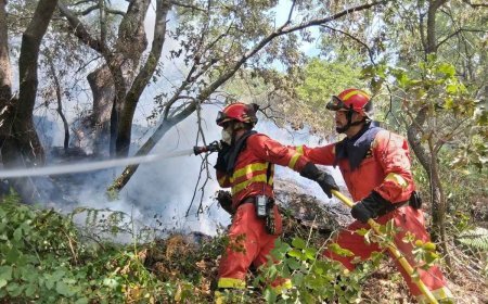 Alantre pide el nivel 3