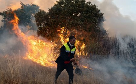 Tragedia en León: Tercera víctima mortal en una semana por los incendios forestales