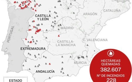 España frente al fuego: llega la ayuda internacional