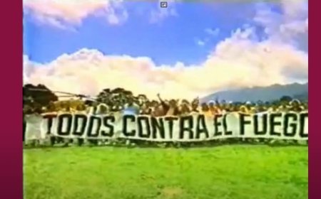 Los incendios y el espíritu colectivo ¿Qué ha pasado?