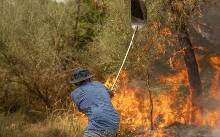 Situación de los incendios forestales en la región leonesa y zonas limítrofes (22 de agosto de 2025)