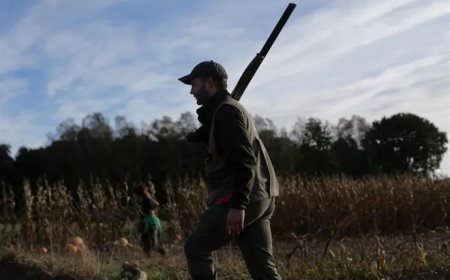 Ecologistas en Acción de CyL pide suspender la caza en zonas afectadas por incendios.