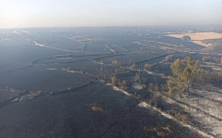 UPL exige al Gobierno declarar Cipérez como “zona catastrófica” tras el mayor incendio en Salamanca