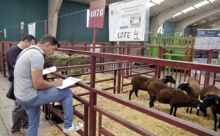 Salamaq 2025: innovación y tradición agropecuaria en Salamanca