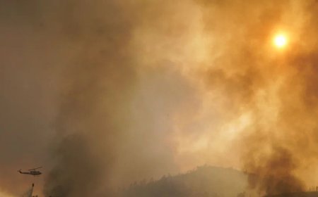 ALANTRE exige respuestas al Gobierno tras los incendios de León y Zamora