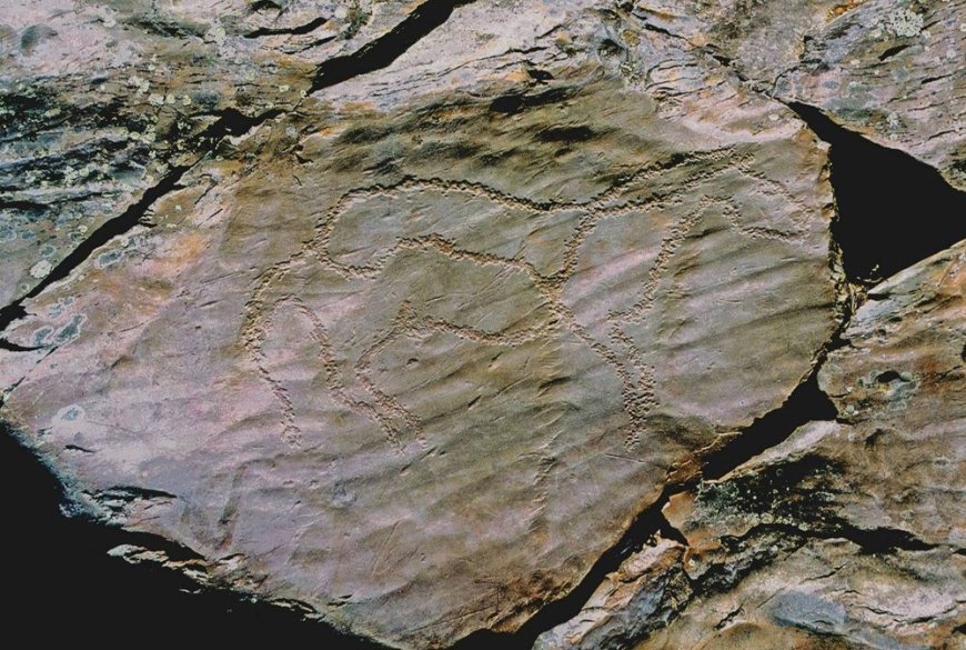 Siega Verde, Patrimonio de la Humanidad
