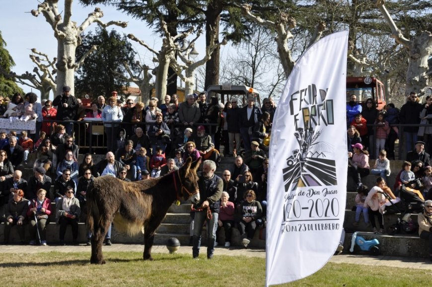Feria de Febrero en Valencia de Don Juán