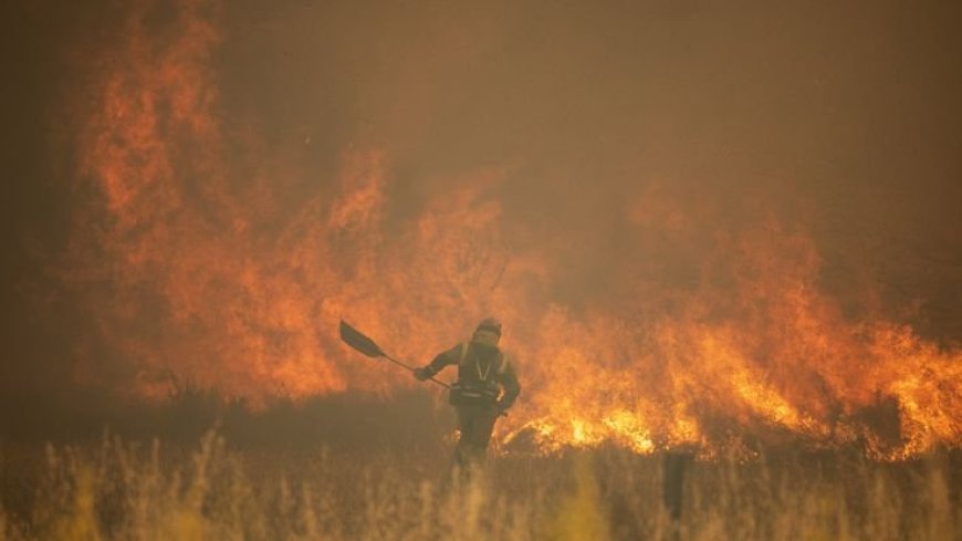Continuidad de los bomberos forestales todo el año YA