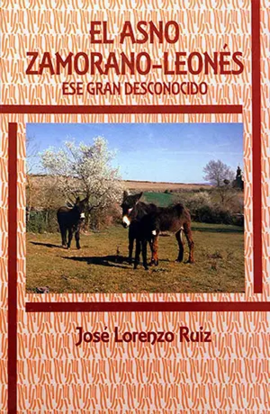 El asno zamorano leonés: Ese gran desconocido