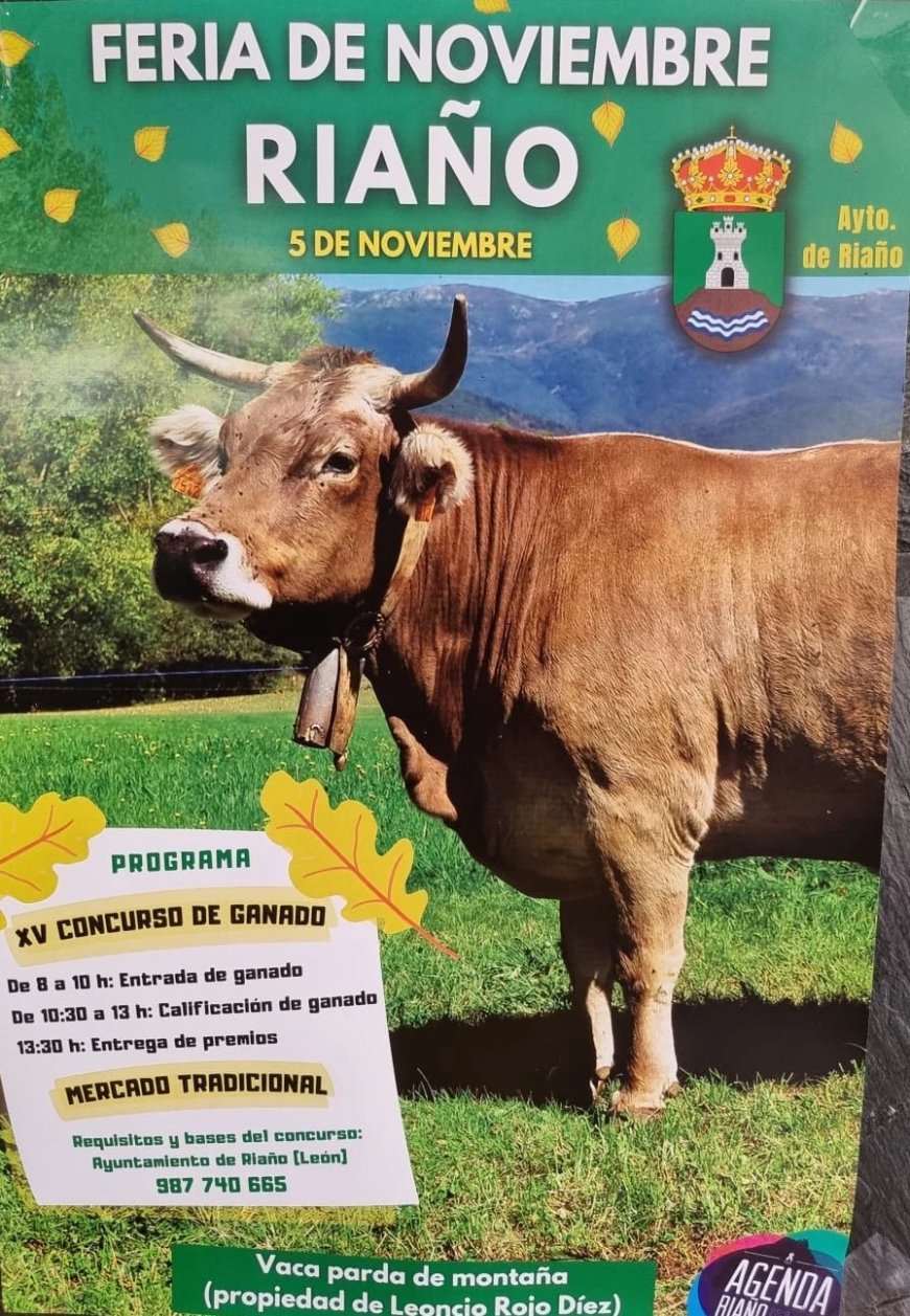 XV Feria ganadera de noviembre en Riaño
