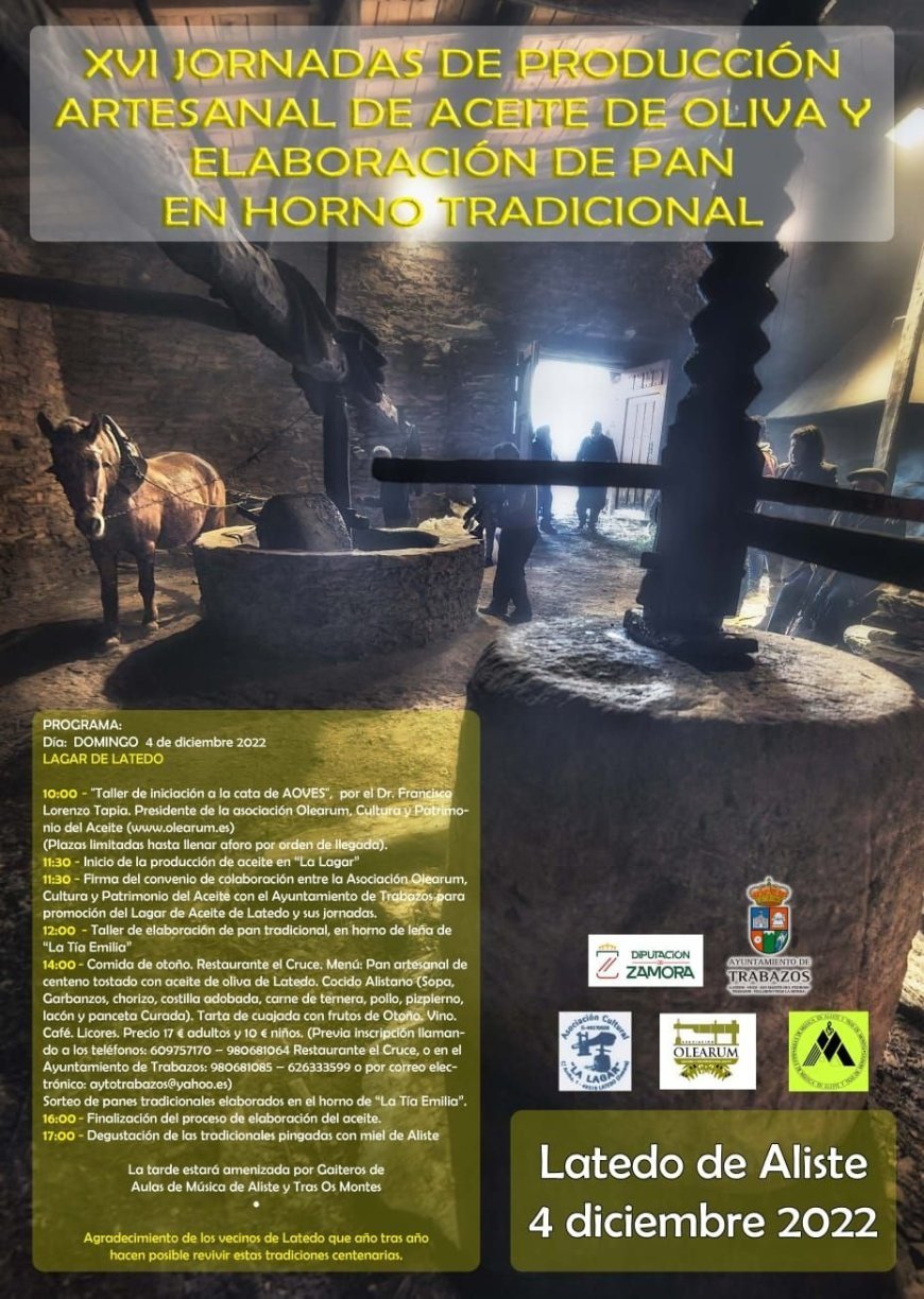 XVI Jornadas de producción artesanal de aceite de oliva y elaboración de pan en horno tradicional