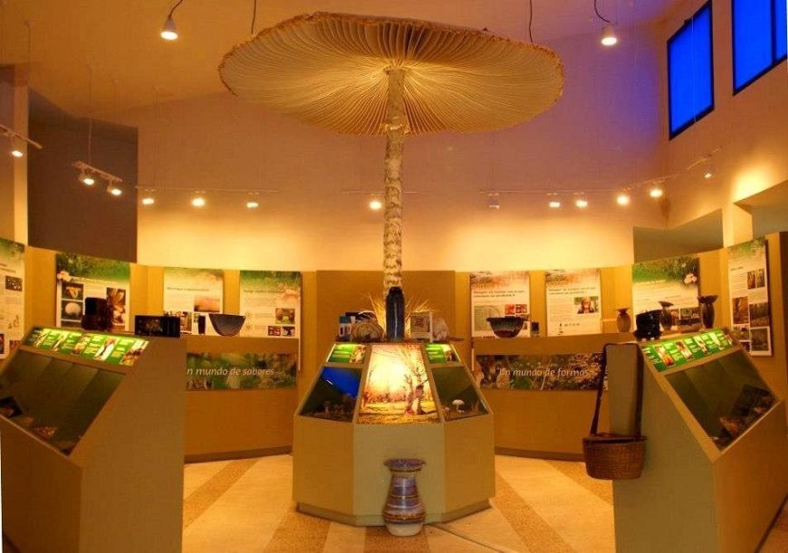 Museo micológico de Rabanales