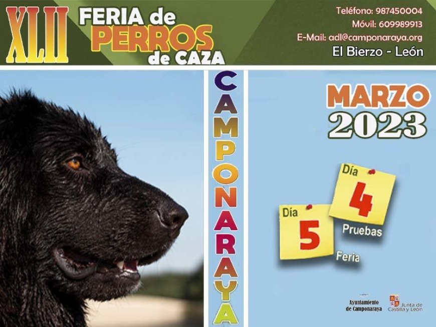Feria de perros de caza de Camponaraya, edición 42