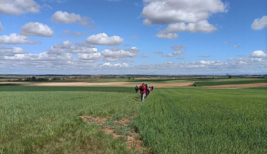 Viajando en el tiempo: Grajal de Campos