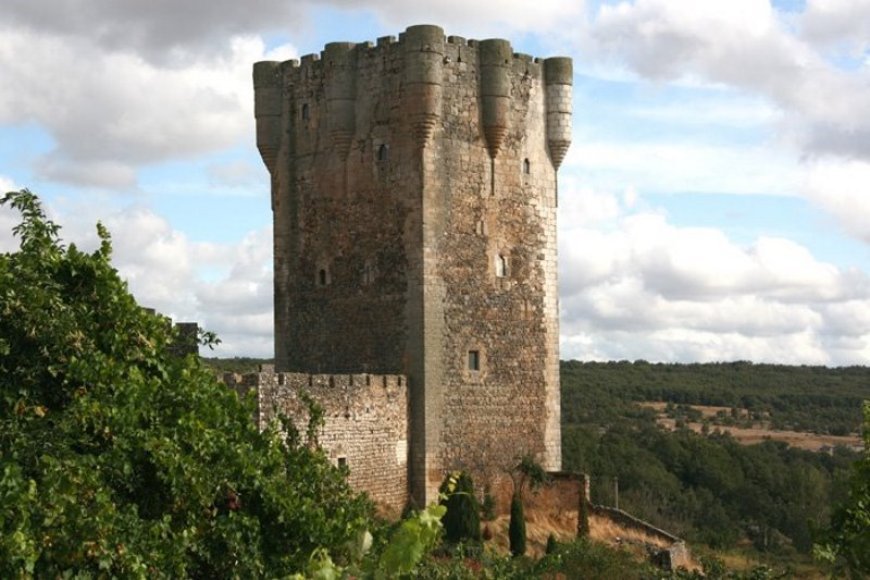El Castillo de Monleón
