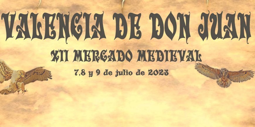 XII Mercado medieval de Valencia de Don Juan