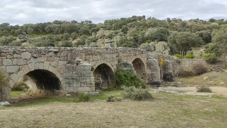 Puente mocho