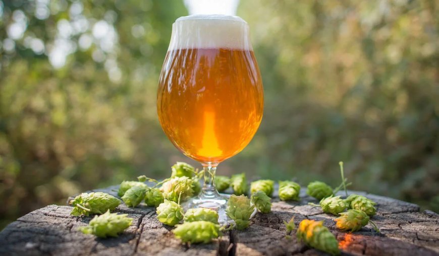 El lúpulo del Órbigo. Cultura cervecera en León