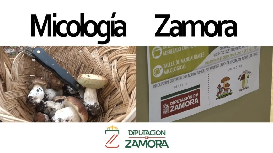 Micología en Zamora