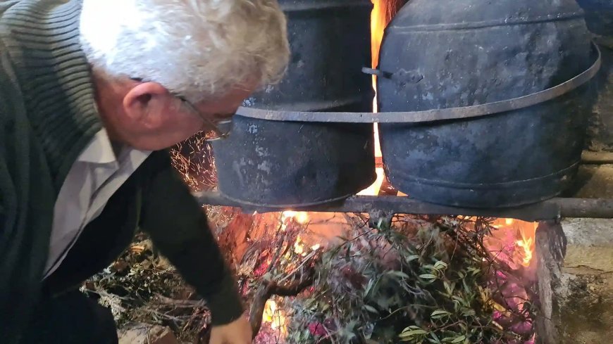 Pan y aceite caseros en Latedo de Aliste