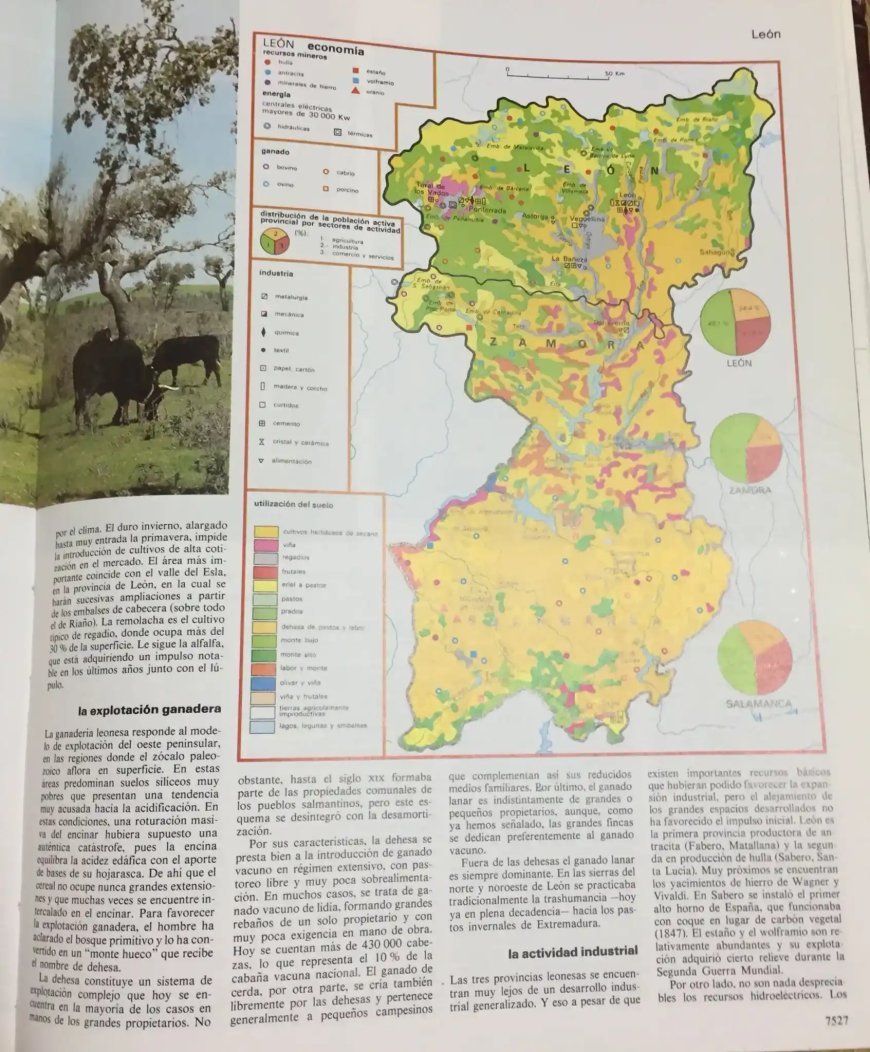 Enciclopedia Larousse. Año 1983