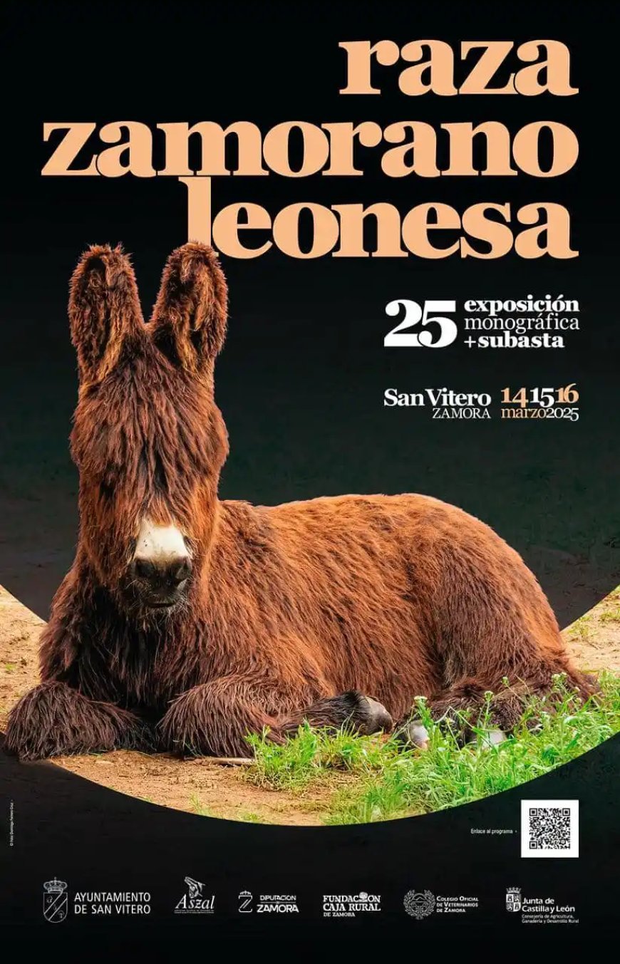XXV Exposición de raza zamorano-leonesa de San Vitero