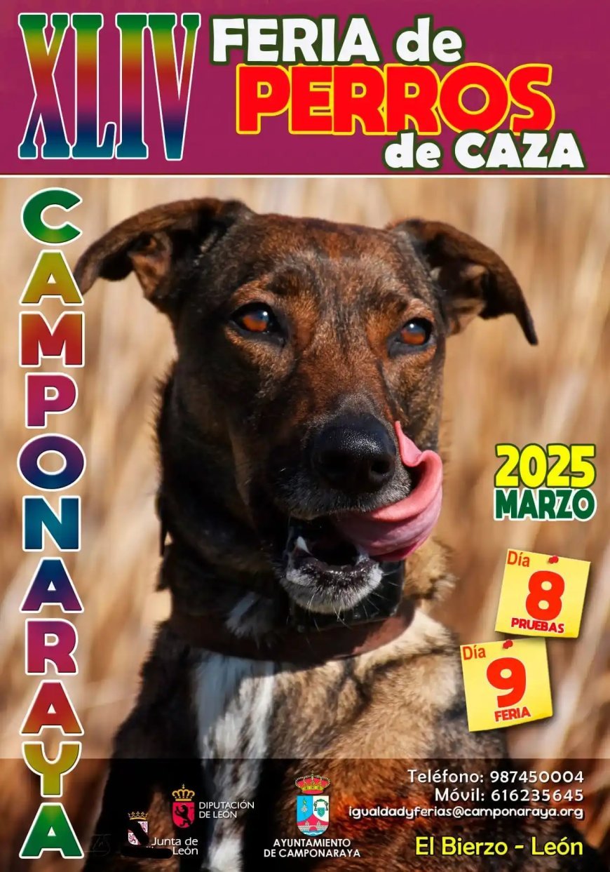 XLIV Feria de Perros de Caza de Camponaraya