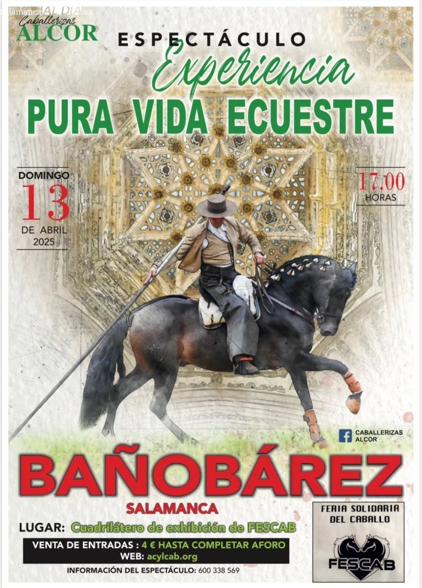 Bañobárez acoge la IV Feria Solidaria del Caballo