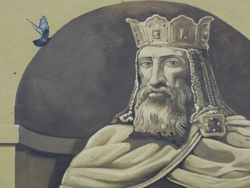 Alfonso IX ya luce en Zamora