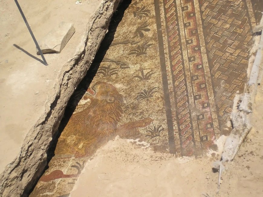 Saelices el Chico impulsa su legado romano con un parque arqueológico