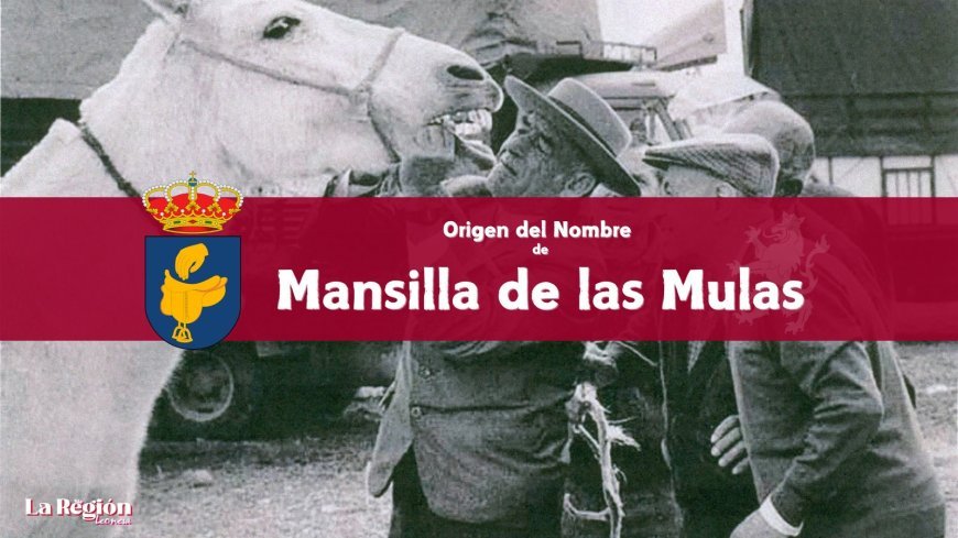 Origen del nombre de Mansilla de las Mulas