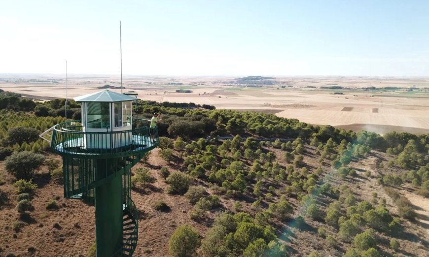 UPL exige a la Consejería de Medio Ambiente que deje sin efecto la reducción de efectivos humanos en la vigilancia de incendios forestales